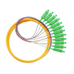 Fiber optic pigtail LSZH Jacket Cable Pigtail 12 Fibers SC/APC SM/MM Waterproof Bunch Fiber Optic Pigtail